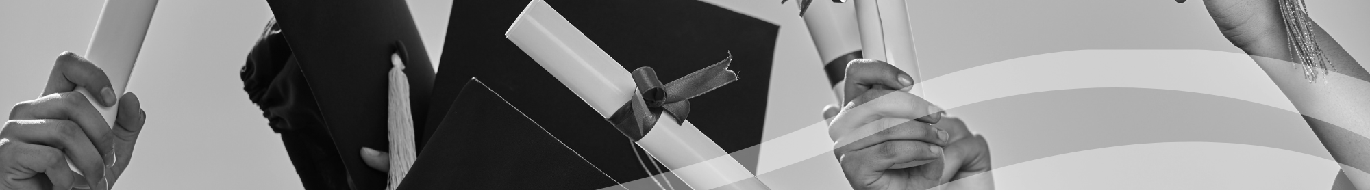 Image Alt Text